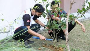 AADK POKOK HIJAU