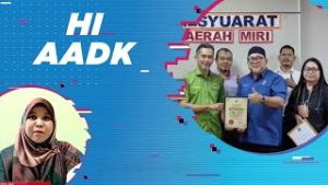 HiAADK221223