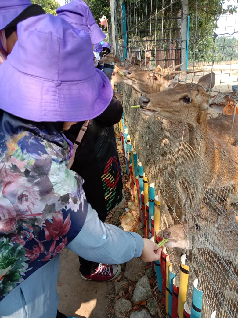 RAWANG FRUIT VALLEY 8 ogos 2023