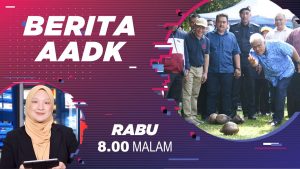 Berita 17